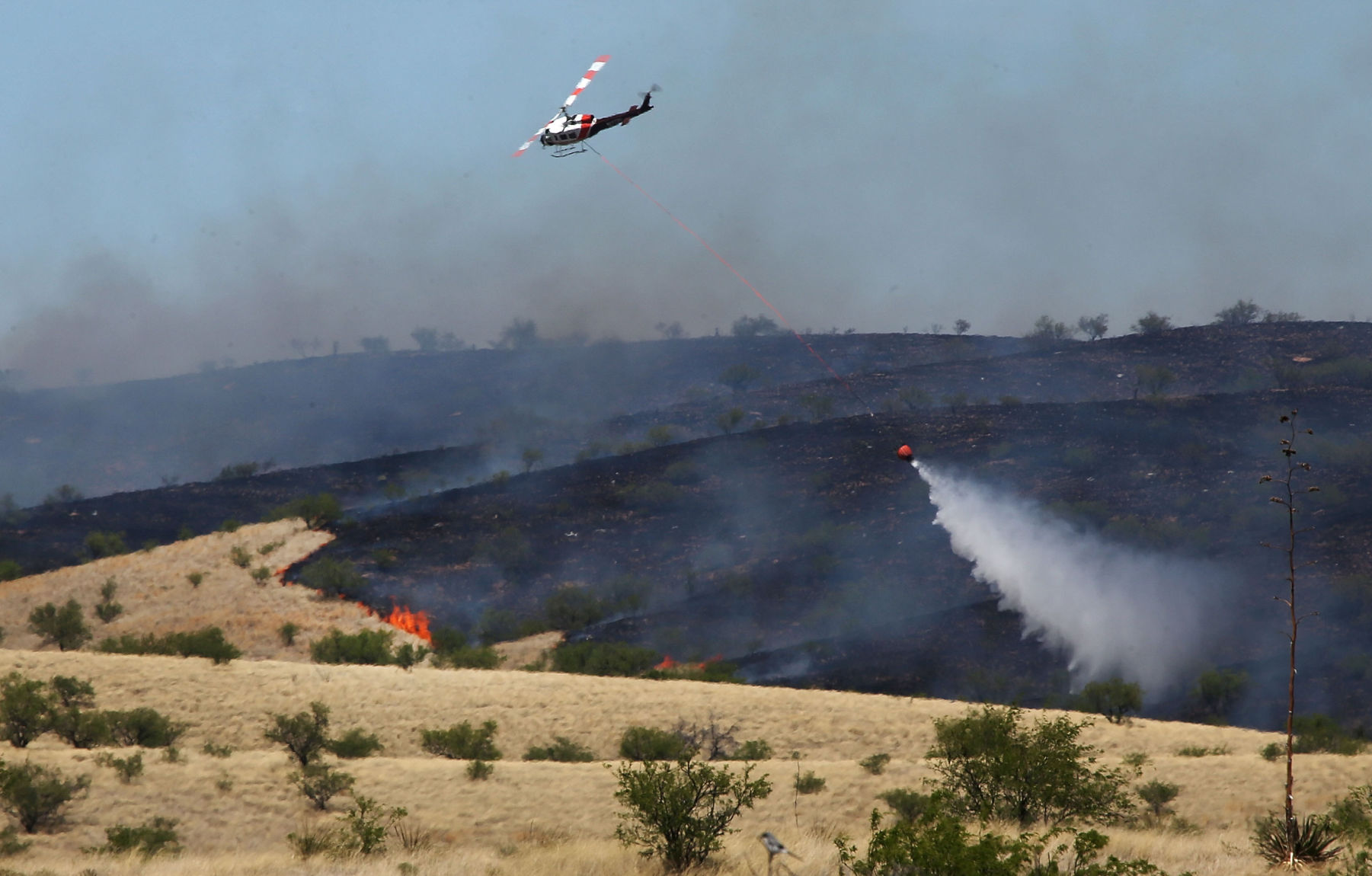 Sawmill Fire